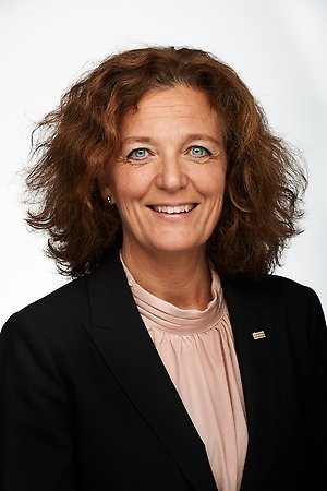 Ulrika Strandroth Frid, Kommundirektör